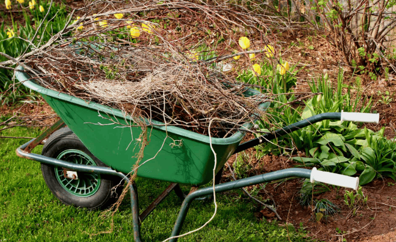 denver dumpster rental